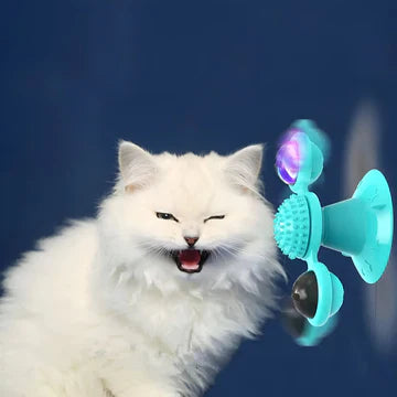 PET TOYS