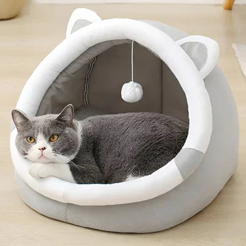 PET BEDS