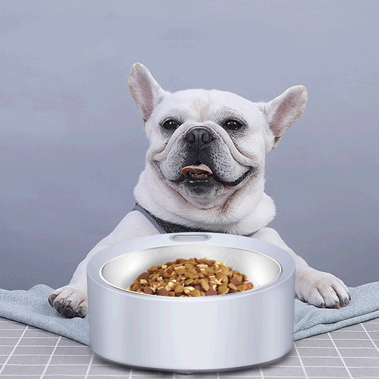 Dog Food Bowl Large Capacity Pet Feeder