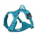 Vest Dog Hand Holding Rope