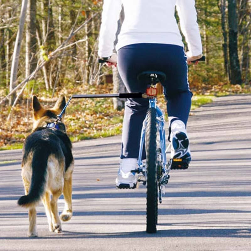 Bicycle Dog Walking Hand Holding Leash