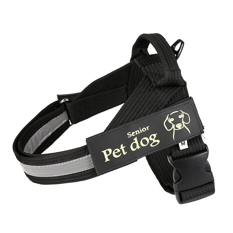 Dog Walking Chain Leash Medium
