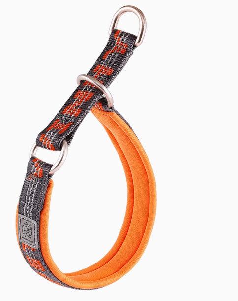 Dog Walking Leash Artifact
