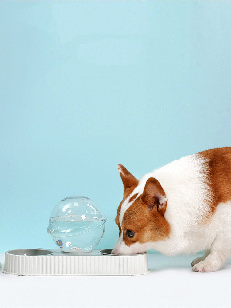 Plastic Pet Feeding Cat Automatic Feeder