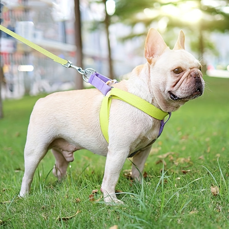 Rainbow Pet Leash Cotton