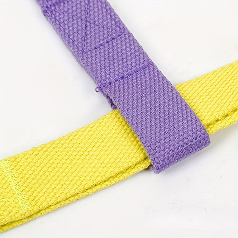 Rainbow Pet Leash Cotton