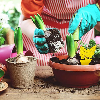 🏆Flash Sale⚡ 50K+ sold! Sold out soon!-💥Yellow Insect Traps – Pest Control for Plants Without Chemicals