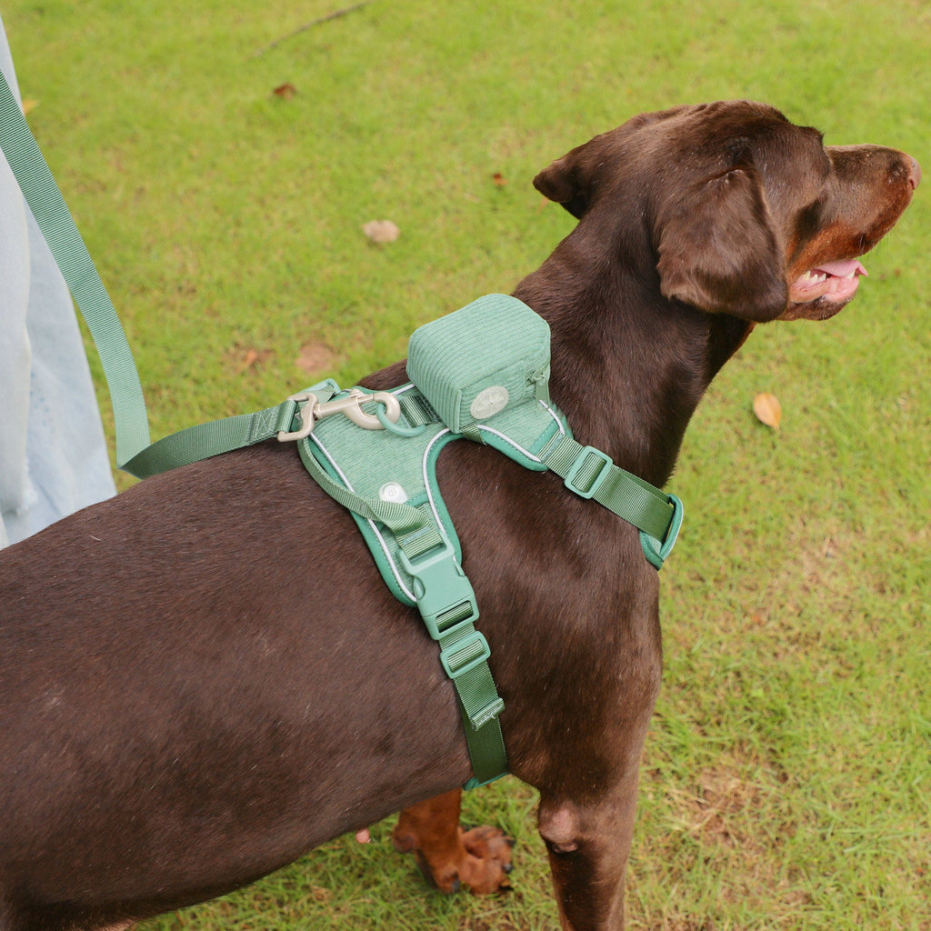 Dog Backpack Suit Dog Walking Leash