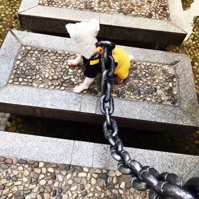 🔥Funny  Dog Chain🐾