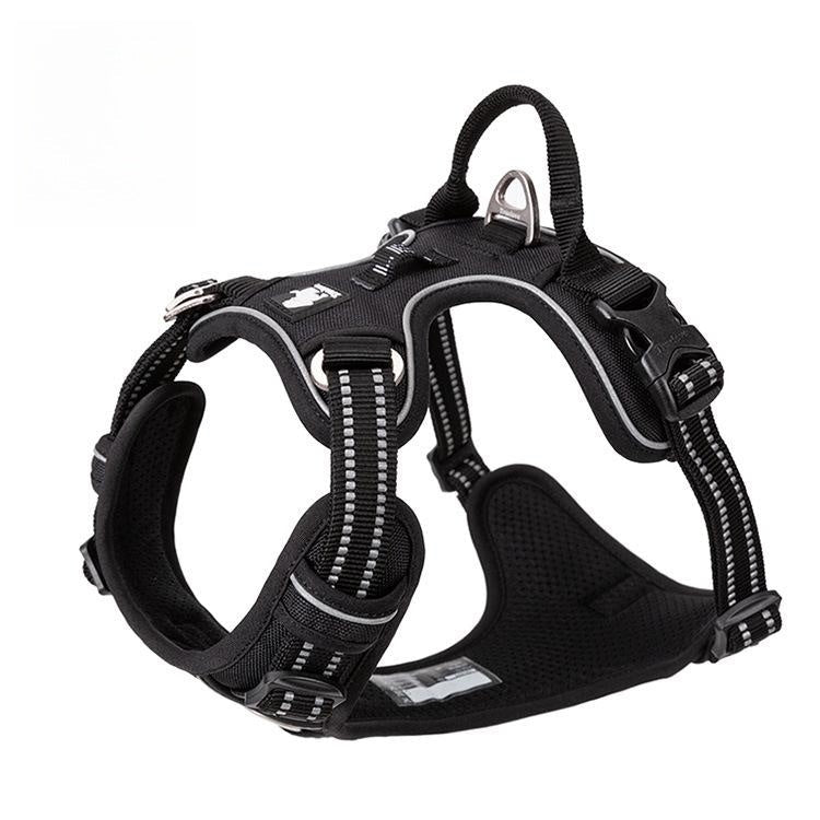 Vest Dog Hand Holding Rope