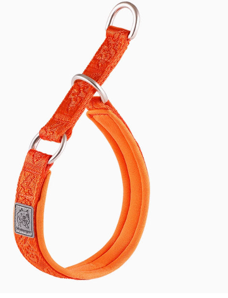 Dog Walking Leash Artifact