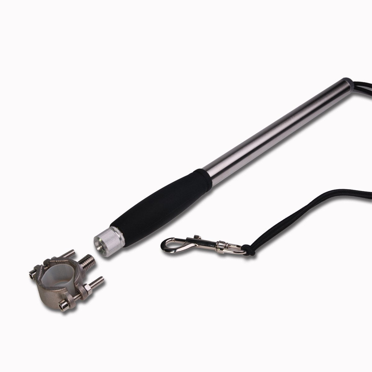 Bicycle Dog Walking Hand Holding Leash