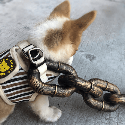 🔥Funny  Dog Chain🐾