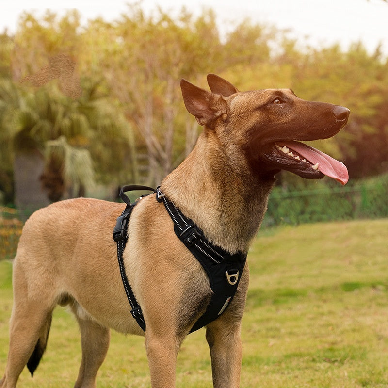 Chest Strap Camouflage Dog Supplies