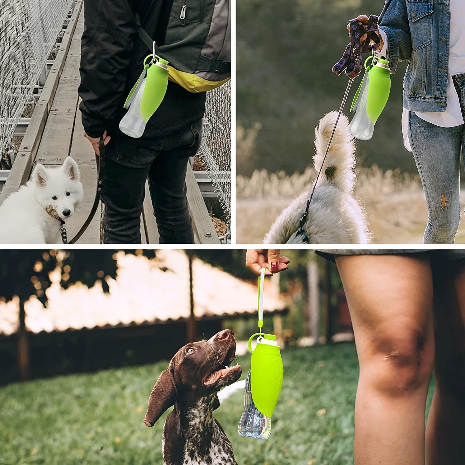 Portable Pet Water Dispenser Feeder