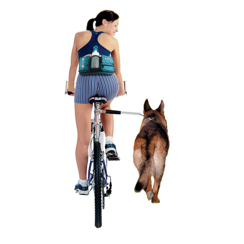 Bicycle Dog Walking Hand Holding Leash