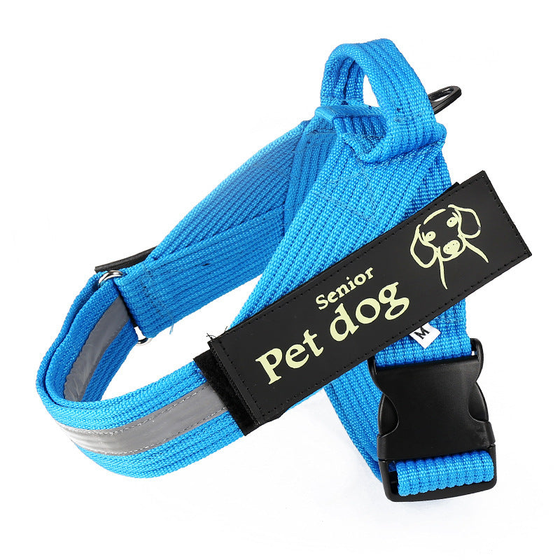 Dog Walking Chain Leash Medium