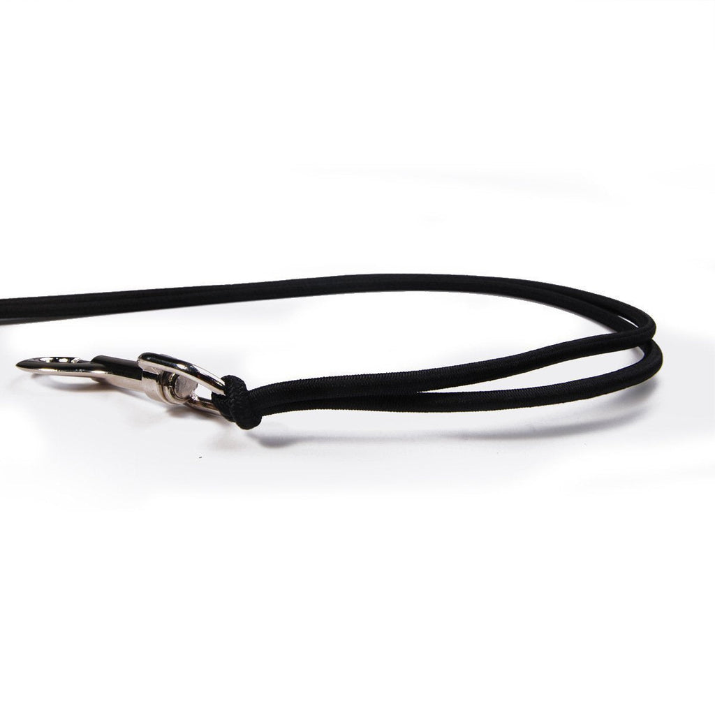 Bicycle Dog Walking Hand Holding Leash