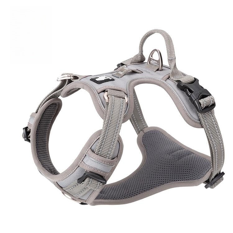 Vest Dog Hand Holding Rope