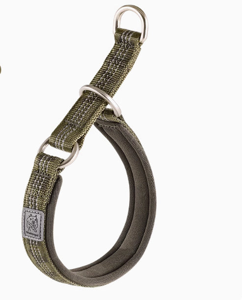 Dog Walking Leash Artifact