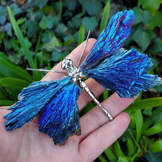 Aura Tourmaline Kyanite Dragonfly