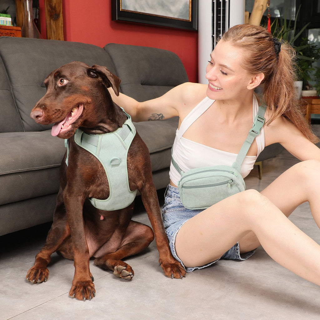 Pet Collar Explosion-proof Dog Vest