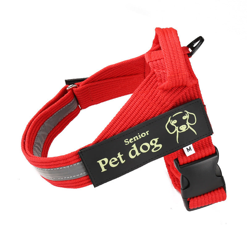 Dog Walking Chain Leash Medium