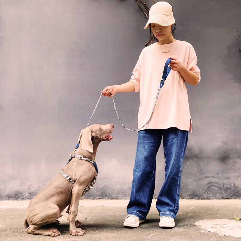 Pet Vest-style Hand Holding Rope Dog