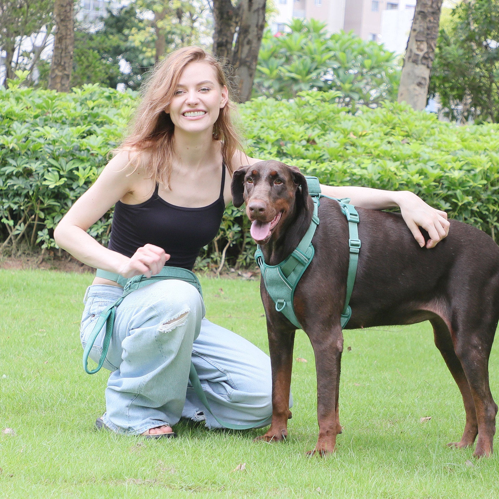 Dog Backpack Suit Dog Walking Leash