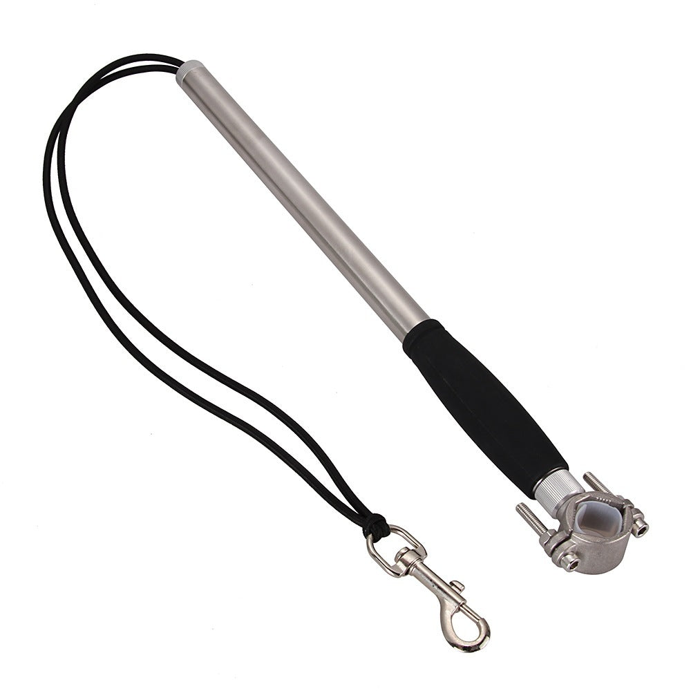 Bicycle Dog Walking Hand Holding Leash