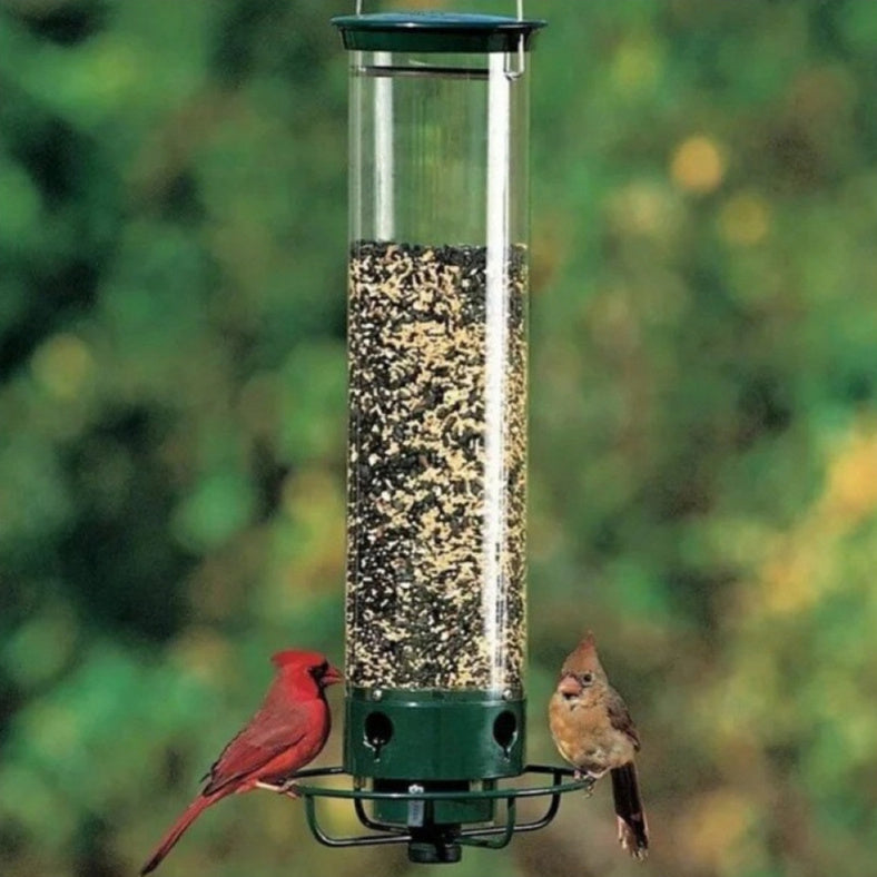 Metal Hanging Feeder Bird Cage