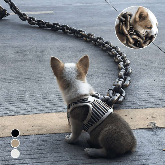 🔥Funny  Dog Chain🐾