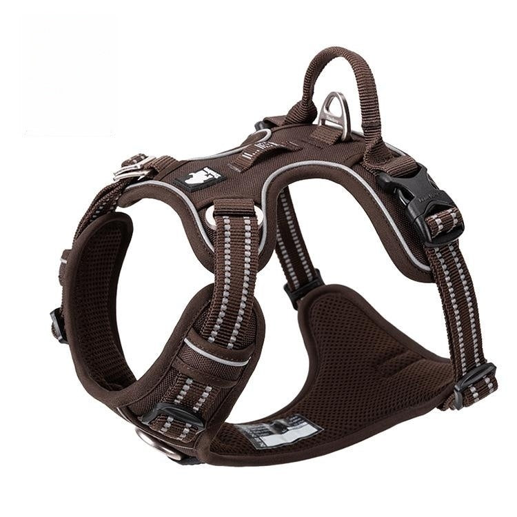 Vest Dog Hand Holding Rope