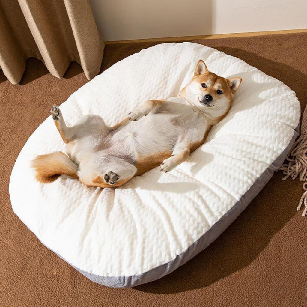Oval Shape Cushion For Large Dogs