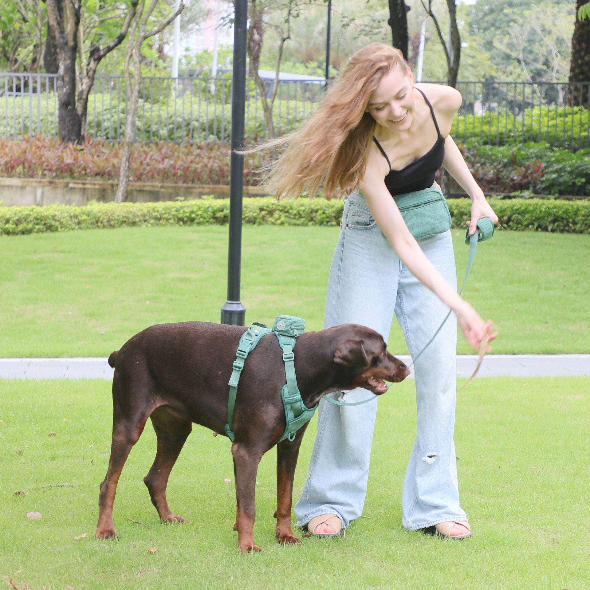 Dog Backpack Suit Dog Walking Leash