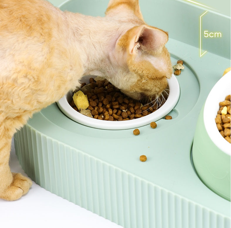 Pet Cat Bowl Ceramic Food Bowl