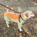 Dog Clothes Golden Retriever Large
