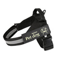 Dog Walking Chain Leash Medium